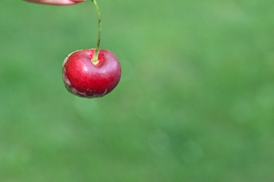 IMG_0086 IMG_0086