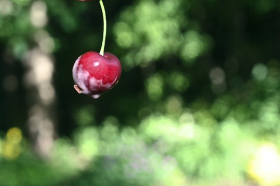 IMG_0087 IMG_0087