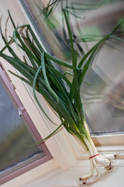 IMG_0376 IMG_0376