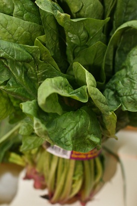IMG_0384 IMG_0384