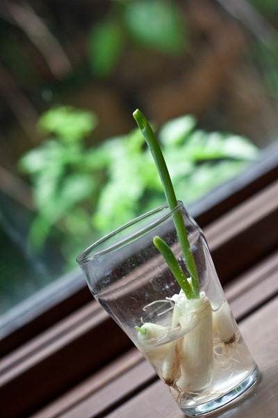 IMG_0769 IMG_0769