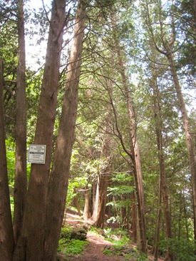 IMG_1559 IMG_1559