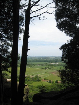 IMG_1564 IMG_1564