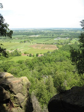 IMG_1565 IMG_1565