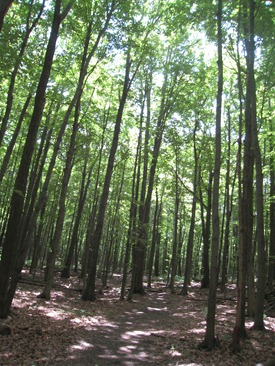 IMG_1580 IMG_1580