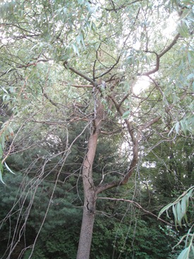 IMG_1622 IMG_1622
