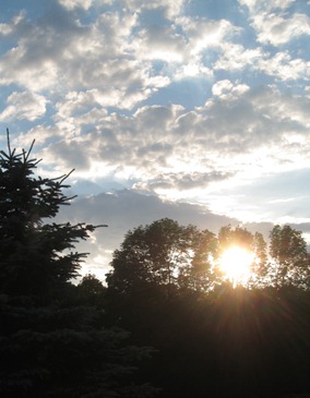 IMG_1626 IMG_1626