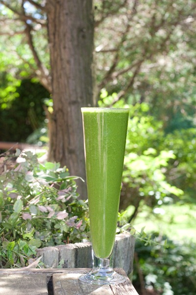 IMG_1181 IMG_1181
