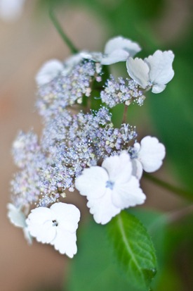 IMG_1359 IMG_1359