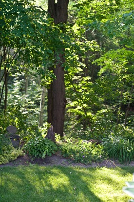 IMG_1474 IMG_1474