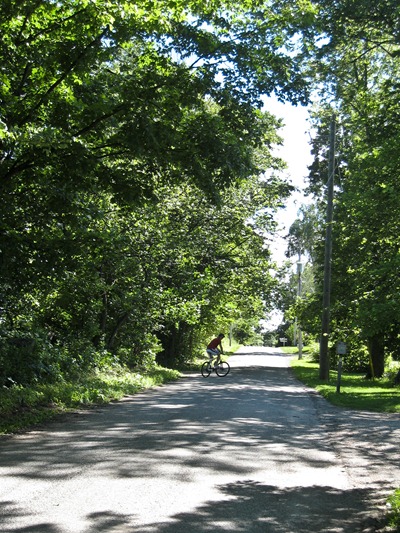 IMG_1722 IMG_1722