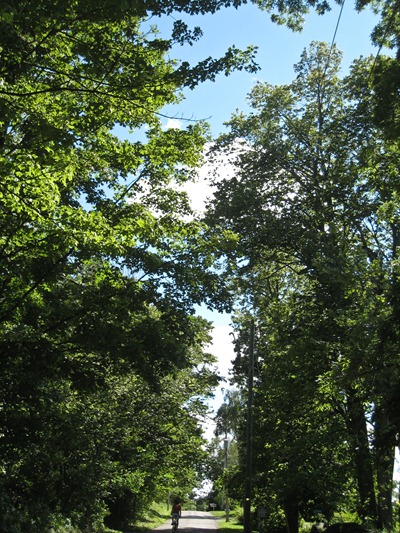 IMG_1723 IMG_1723