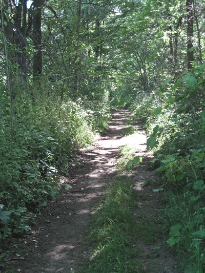 IMG_1727 IMG_1727