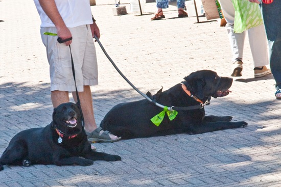 IMG_2012 IMG_2012
