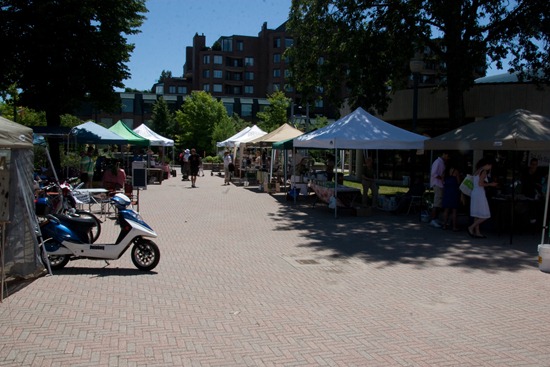 IMG 2016 thumb   Oakville Organic Farmer&rsquo;s Market: Week 4