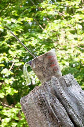 IMG_2606 IMG_2606