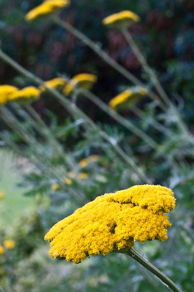 IMG_2884 IMG_2884