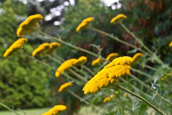 IMG_2886 IMG_2886