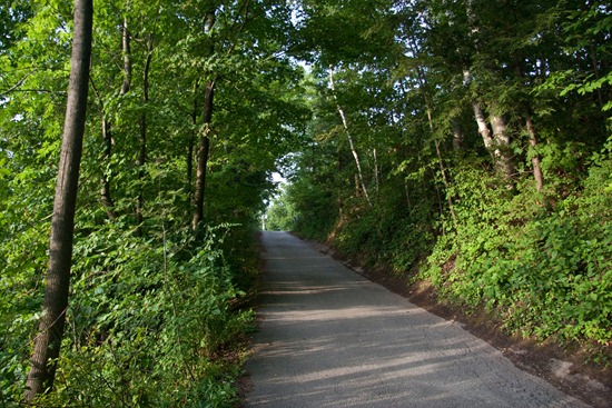 IMG_3298 IMG_3298