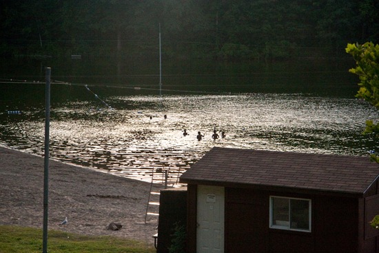 IMG_3302 IMG_3302