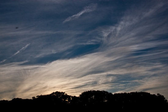 IMG_3423 IMG_3423
