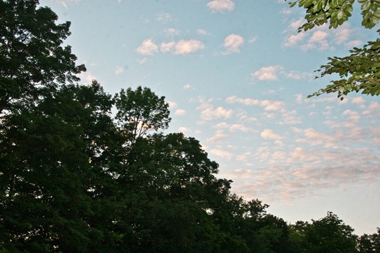 IMG_3524 IMG_3524
