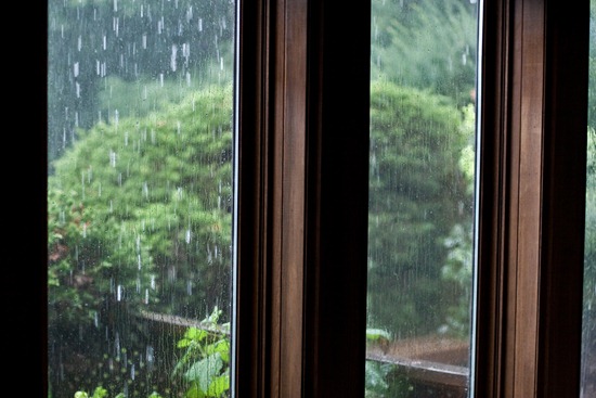 IMG_4022 IMG_4022