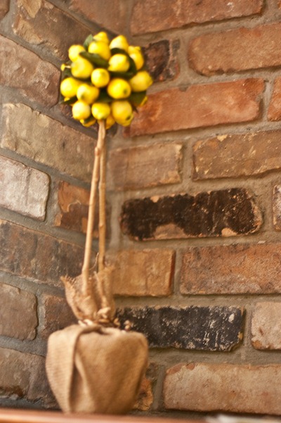IMG_4475 IMG_4475