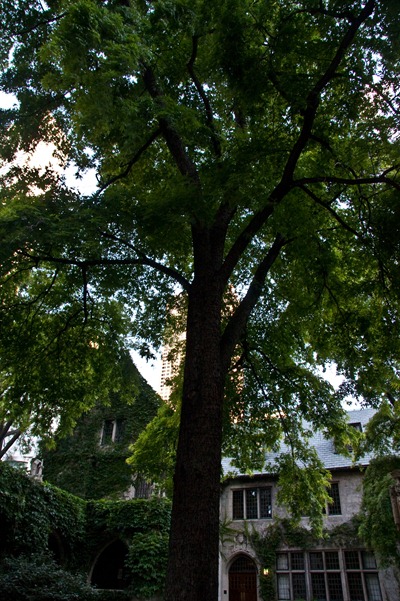 20100816-IMG_6723 20100816-IMG_6723