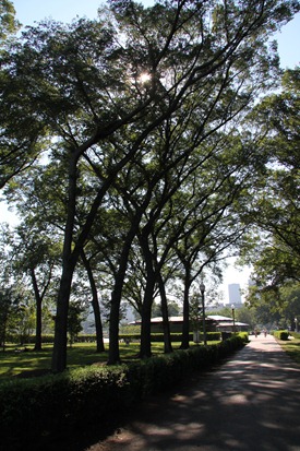 IMG_0027 IMG_0027