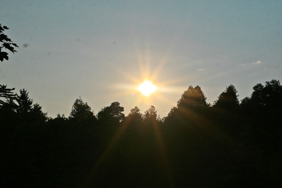IMG_5085 IMG_5085