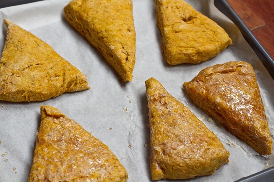 20100904IMG 2200 thumb   Savoury Pumpkin Scones in a Pumpkin Spiced Glaze