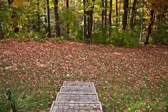 20101006IMG 4363 thumb   Wordless Wednesday: Why I Love Fall