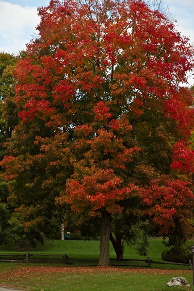 20101006IMG 4394 thumb   Wordless Wednesday: Why I Love Fall