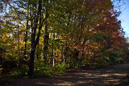20101008-IMG_5374 20101008-IMG_5374