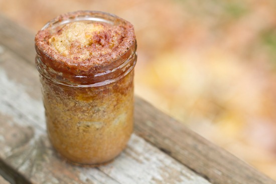 20101022IMG 7896 thumb   Apple Streusel Cake In A Jar
