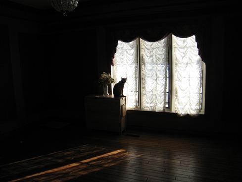 IMG_5308 IMG_5308