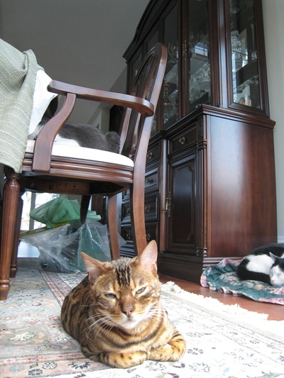 IMG_8924 IMG_8924