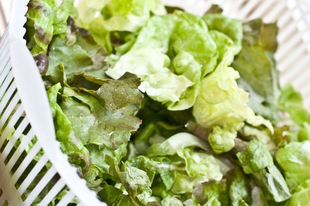 Easy Vegan Caesar Salad – Oh She Glows